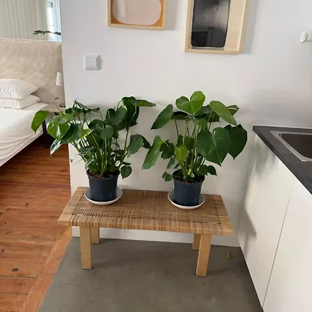 Refugio Real Apartment Lisbon